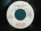 RED HOT RIDER   Catch the Breeze   Golden Voice GV7-31   RARE ILLINOIS PSYCH 45