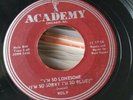 rare rockabilly 45 Wolf - Stompin' To The Beat