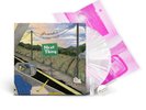 Frankie Cosmos - Next Thing LP Clear & White Vinyl Limited Bundle with zine NEW