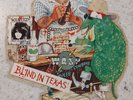 ERROR  - W.A.S.P. BLIND IN TEXAS PICTURE DISK ALBUM VINYL 45RPM RECORD