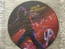 IGGY & THE STOOGES Live In Detroit VINYL LP PICTURE DISC New Iggy Pop Mike Watt