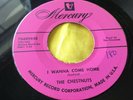 Rare Doo Wop 45 : The Chestnuts   I Wanna Come Home   Don't Go   Mercury 70489
