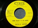1967 GARAGE--SITES N' SOUNDS--THE NIGHT IS SO DARK / 
