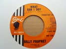 RARE 70s  RE-PRO - BILLY PROPHET - WHAT CAN I DO ? - NEAR MINT