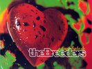 THE BREEDERS LAST SPLASH LP w INNER & BONUS 7