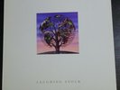 Talk Talk   laughing stock   LP vinilo Spain