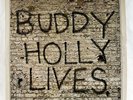 Buddy Holly / The Crickets - 20 Golden Greats 1978 MCA 12
