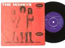 BRIAN WILSON / THE HONEYS - SURFIN' DOWN THE SWANEE RIVER - PS/45 - DENMARK