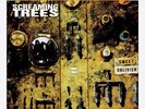 Screaming Trees Sweet Oblivion Newbury Colored Gold LP Vinyl Ltd 1000 OOP NEW