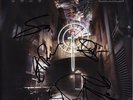 TOTO XIV Vinyl LP FULLY SIGNED David Paich Lenny Castro Steve Lukather AUTOGRAPH