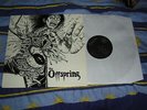The Offspring - S/T - RARE Original Vinyl LP album 1989 (Cargo/Nemesis records)