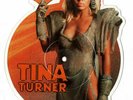 Tina Turner -We Don't Need Another Hero (Theme from Mad Max) Shaped Picture Disc