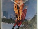 Giant - Time to Burn - LP Record - Epic 1992