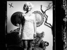 Sol SeppyThe Bells Of 1 2. SPARKLEHORSE RSD