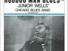 JUNIOR WELLS: HOODOO MAN BLUES (LP vinyl *BRAND NEW*)