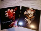 Eagles Of Death Metal Zipper Down & Heart On 12