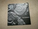 The Sundays Reading Writing and Arithmetic Original Vinyl Picture Disc LP