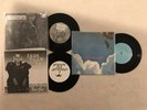 Less Than Jake Pesto Muppets Against All Authority Split