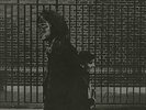 Neil Young After The Gold Rush - 2nd + Poster UK vinyl LP album record K44088