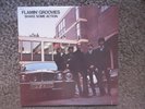 THE FLAMIN' GROOVIES 