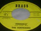 Rare Folk 45 The Surfriders on Brass Island In The Sun