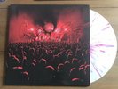 Enter Shikari -  Live at Alexandra Palace 12 ” Coloured Vinyl Signed Autographed