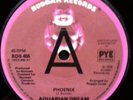 Aquarian Dream - Phoenix  7