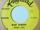 rare mod garage surf 45 Blue Echoes - What I Say RAYNARD listen