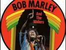 BOB MARLEY & THE WAILERS RARE Vinyl Record Picture Disc