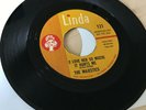 THE MAJESTICS - (I LOVE HER SO MUCH) IT HURTS ME - LINDA demo