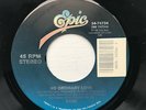Sade No Ordinary Love 45 RPM Vinyl Record 7
