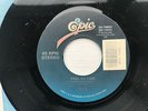 Sade Feel No Pain 45 RPM Vinyl Record 7