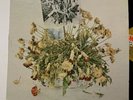 Churls LP Send Me The Flowers on A and M psych