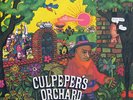 CULPEPER'S ORCHARD - CULPEPER'S ORCHARD - 2019 VINYL REISSUE Dk PROG SEALED