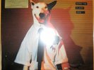 NEU 180g Vinyl LP Rick Springfield ?– Working Class Dog Music on Vinyl