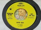 Stupendous Mod Garage Fuzz Dance Floor Smoker 45 David Gray Jealous Eyes NM HEAR