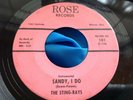 Hear Rare OH Garage Tittyshaker Rock 45 : The Sting-Rays   Hot Sausage   Rose