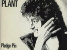 Robert Plant Pledge Pin 7