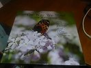 THE POPULAIRES THE WAY WE WERE LIVE AT GREENBRIER BRAND NEW RECORD ALBUM