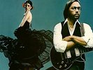 Al Di Meola - Elegant Gypsy [Vinyl]