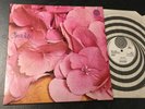 STILL LIFE s/t LP -71 UK VERTIGO 6360 026 rare hard prog