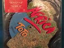 TOTO AFRICA /ROSANNA RARE 1982 PICTURE DISC in SLEEVE HYPE STICKER IV POWER POP