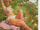 MICHEL POLNAREFF Le Saule + PROCOL HARUM -  60s IRANIEN prs. ps EP