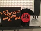 LIFE SENTENCE MORE PUNKS FOR PROFIT NM-/NM- ORIG 1991 PICTURE SLV 7