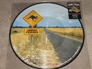 COSMIC PSYCHOS - CUM THE RAW PRAWN - PICTURE DISC - NEW - LP RECORD