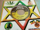 THE SHADES // MAKE IT TOGETHER // JINGLES  // 45  7'' Listen