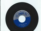 MUDDY WATERS 45 RPM Sugar Sweet/Trouble No More CHESS 1612 EX+