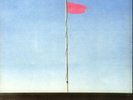 Wire – Pink Flag – Vinyl, LP, Punk, Post-Punk, Reissue, PinkFlag, 2018, New