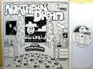 BILL NELSON - Northern Dream - '71 ORIGINAL UK Smile textured label MONO NM LP