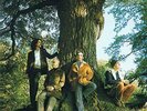 Mother Earth - The People Tree [VINYL]